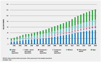 Probiotics application in aquaculture: its potential effects, current status in China and future prospects